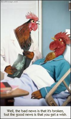 hasila 3ala akbar doctora